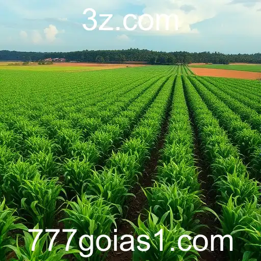 A Ascensão do 777goias.app no Cenário de Jogos Online